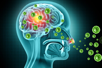 Obraz premium Brain viral infection, Viral meningitis and encephalitis. 3d illustration