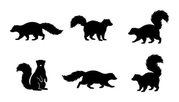 Set of Six Black Skunk Silhouettes, Vector Graphics for Wildlife and Nature Designs