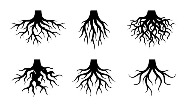 Root System Icons, Tree Foundation Graphics, Plant Biology Vector Set, Natural Growth Elements