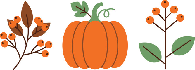Autumn harvest vector icon set with flat cartoon orange pumpkin plant leaves and thanksgiving berry branch symbols © Lipi