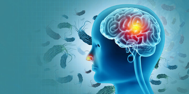 Visual concept of deadly brain-eating amoeba infection. 3d illustration