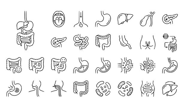 Digestive system icons collection editable stroke medical vector set