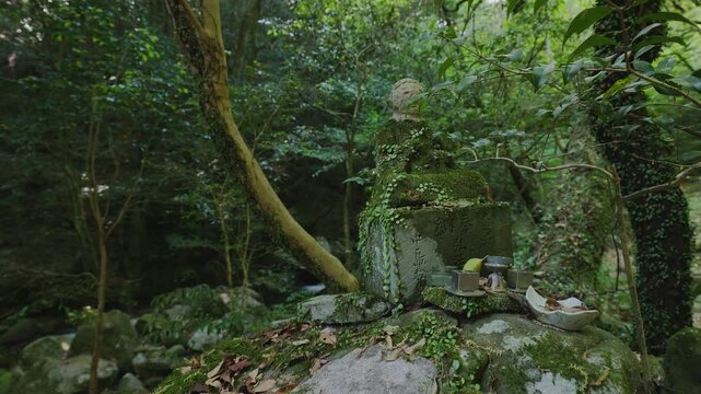 深い森の中に静かに佇む苔むした古い石仏と自然の静寂（佐賀県鳥栖市・御手水の滝）