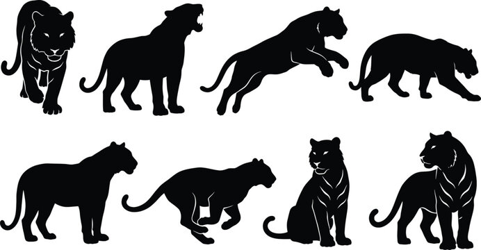 Black panther silhouettes, big cat icons, feline vector set, animal graphics