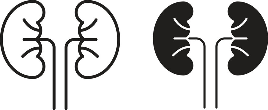 Kidney icon for social media, app, and web design. Vector illustration.