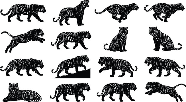 Tiger silhouettes, black tiger icons, 15 tiger graphics, animal vector set