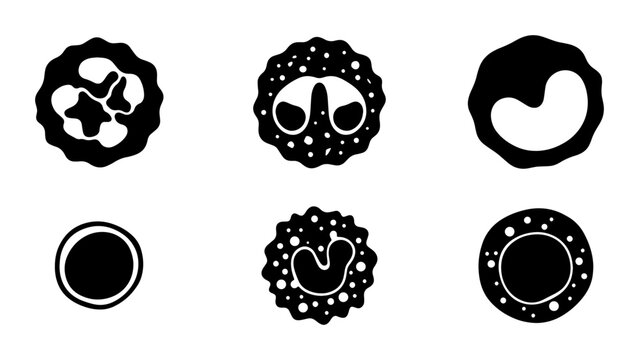White Blood Cell Icons, Leukocyte Types Vector Set, Medical Science Illustration, Hematology Cell Graphics