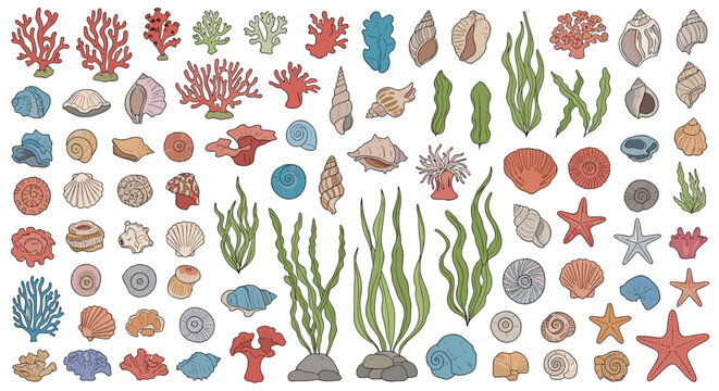 Collection of various hand-drawn sea shells, corals, starfish, and seaweed in soft colors, perfect for coastal and marine-themed graphic design.