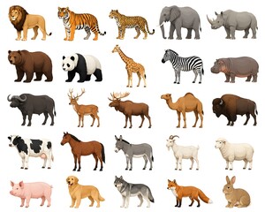 Obraz premium Large collection of various wild and farm animals in colorful vector illustration style isolated on white background.
