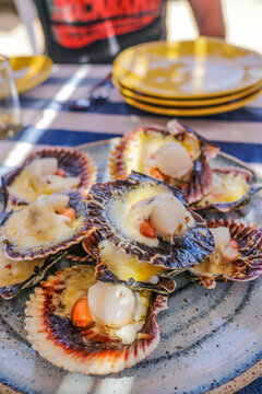 Paracas, Peru - 3 Dec 2025: Fresh Pacific Scallops served on the shell in the Paracas National Reserve, Peru
