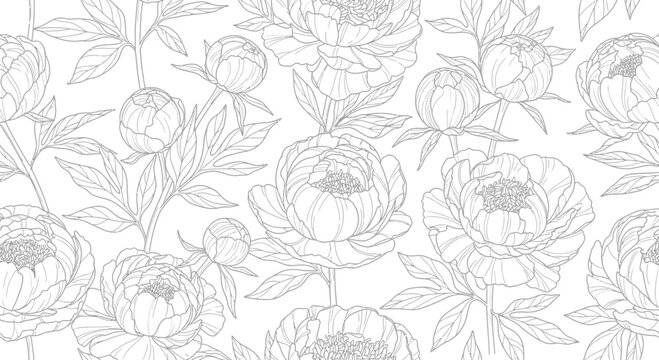 Seamless Pattern of Hand Drawn Peony Flowers Line Art