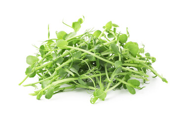 Fototapeta premium Pile of fresh microgreens isolated on white