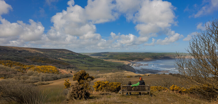 North Yorkshire Coast UK. The Yorkshire Coast runs from the Tees estuary to the Humber estuary,[1] on the east coast of England. The cliffs at Boulby are the highest on the east coast of England, 