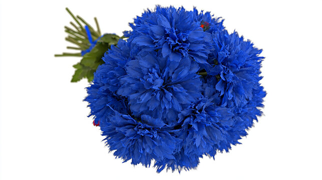 Single blue cornflower bouquet with bachelor s button clipping path cornflower
