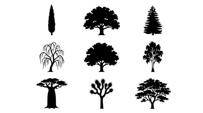 Trees and shrubs icons set with pine, broadleaf and leafless silhouettes on a clean transparent background
