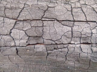 Fototapeta premium Cracked Burnt Wood Texture Background