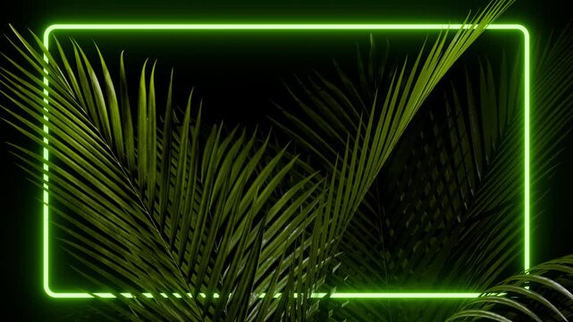 Neon palm leaves frame a glowing green rectangle in a seamless loop