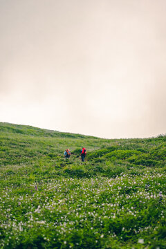 A cloudy day. Grassy hills on a hiking trail to Bhrigu Lake Trek, Manali, India. Hikers are walking. Many wildflowers, and morning mist blankets the mountains with copy space on top.