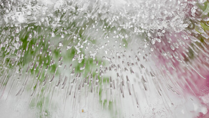 Pink Flower Petals Frozen in Ice Creating Irregular Texture © Anna Hoychuk