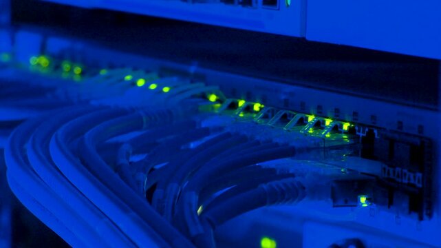Closeup of a network switch with glowing green lights and blue cables connected