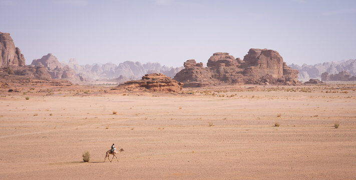 Man on camel moving through dry desert landscape with sandstone rock formations, Tabuk, Saudi Arabia