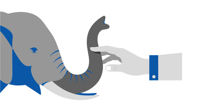A stylized illustration of a human hand gently touching the trunk of a grey elephant with blue accents and white tusks on a white background.