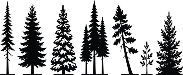 Set of black pine tree silhouettes featuring various coniferous shapes and sizes designed as a professional vector illustration for creative nature projects and forest themed graphic design on transpa © maria 