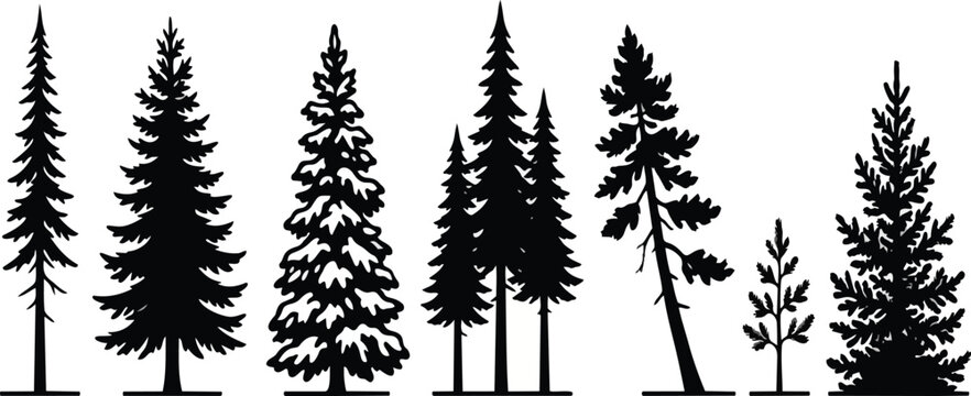 Set of black pine tree silhouettes featuring various coniferous shapes and sizes designed as a professional vector illustration for creative nature projects and forest themed graphic design on transpa