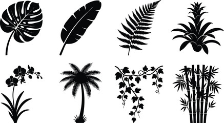 Detailed collection of tropical plant silhouettes including monstera palm fern and bamboo elements crafted as a professional digital vector illustration set for creative design projects displayed on t © maria 