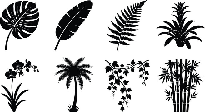 Detailed collection of tropical plant silhouettes including monstera palm fern and bamboo elements crafted as a professional digital vector illustration set for creative design projects displayed on t