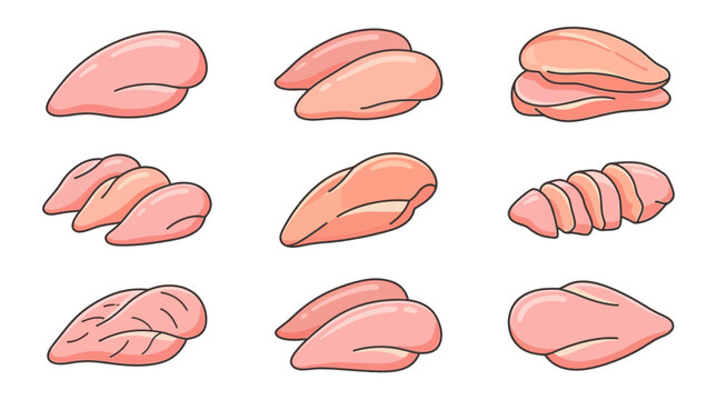 Raw Chicken Breast Fillet Cuts and Slices Vector Illustration Collection