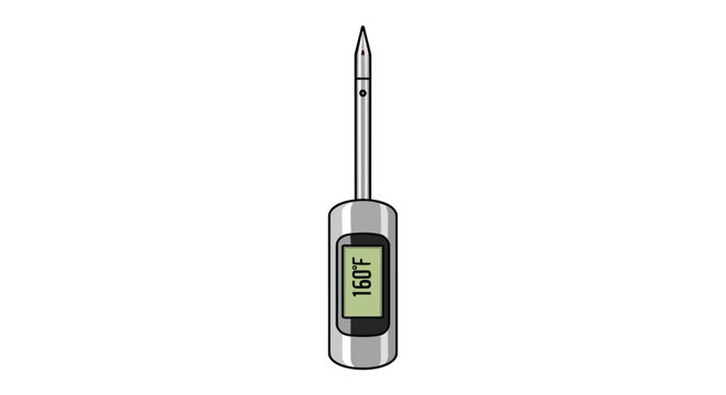 Digital Meat Thermometer with LCD Display Showing 160 Degrees Fahrenheit for Cooking and Kitchen Safety Illustration