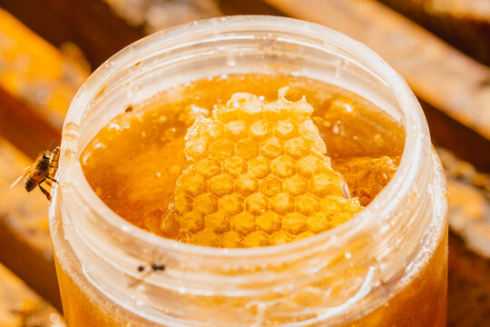 Pote de mel com favo organico 