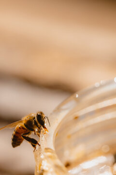 Una abeja llegando al pote de miel 