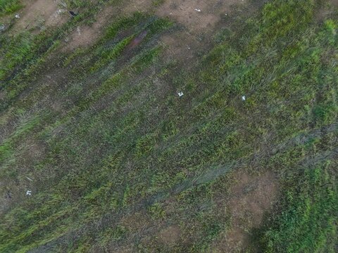 Aerial top-down view of patchy green vegetation and brown earth terrain. Natural landscape showing grass, shrubs, and dry soil patterns from above.