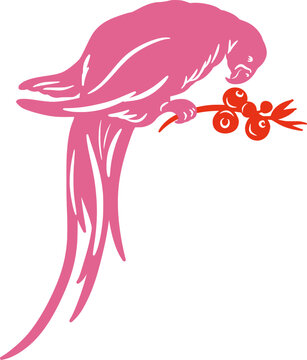 Pink parrot bird silhouette sitting on branch with berries