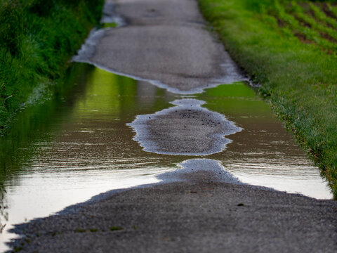 Gro&szlig;e Pf&uuml;tze auf einer Teerstrasse