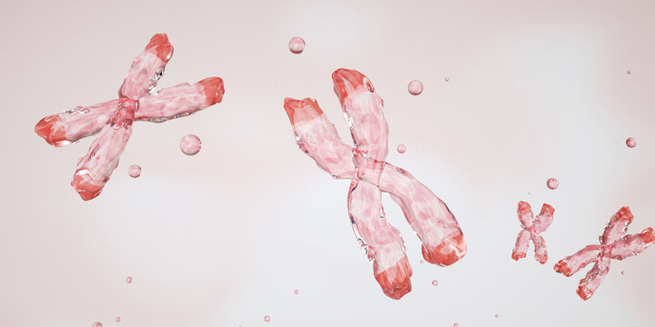 Structure of a chromosome, centromere, telomere. Epigenetic mechanism. Epigenetic factor, Methyl group, Gene, DNA, Chromosome. Genome sequence. Molecular biology. Photo stock