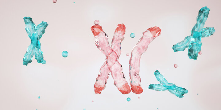 Trisomy, genetic disorder, cells contain an extra chromosome, Trisomy 21 (Down syndrome), Trisomy 18 (Edwards), Trisomy 13 (Patau)