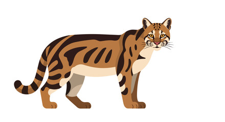 Obraz premium Exotic Marbled Cat Illustration with Unique Fur Pattern and Stripes Standing Isolated on White Background