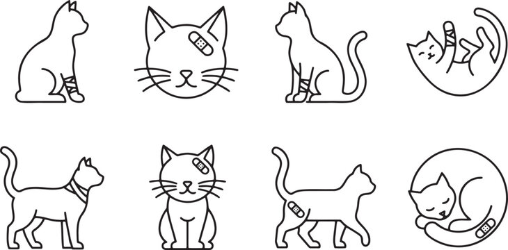 Injured cats with bandages and veterinary medical equipment set
