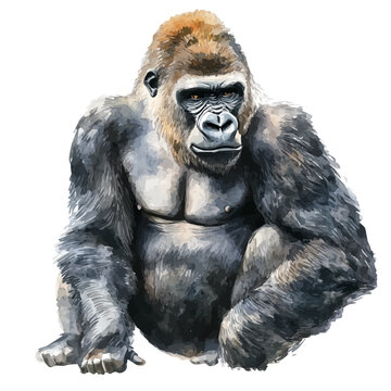 Gorilla, watercolor clipart vector, isolated on a white background.