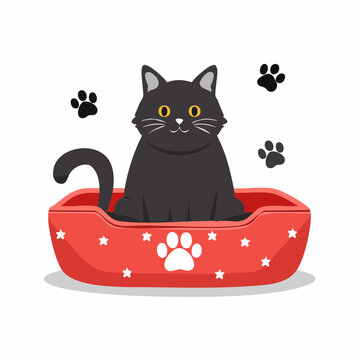 Cute Black Cat Sitting in a Red Bed with Paw Prints