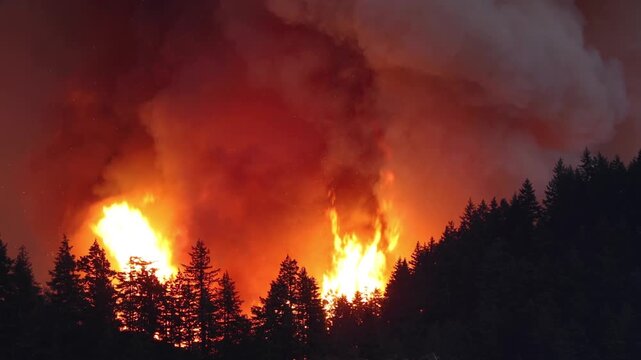 Large forest fire burns the tree covered side of a mountain in Oregon