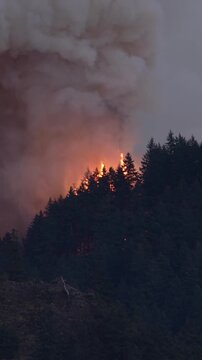 Large forest fire burns the side of a mountain near Portland Oregon. Vertical Video.