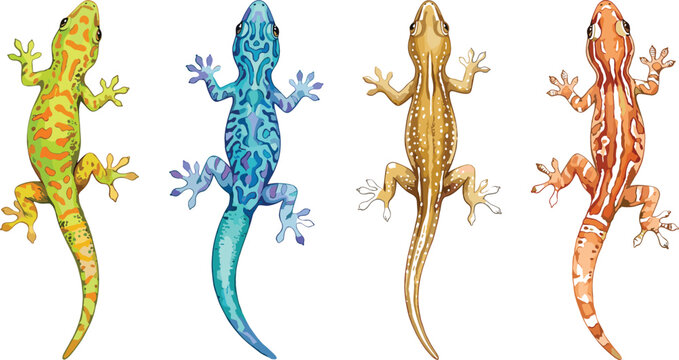 Colorful Gecko Vector Set Featuring Four Tropical Lizards in Bright Patterns and Realistic Cartoon Style