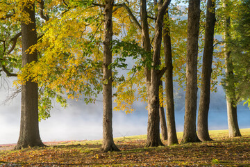 Naklejka premium Tennessee River at Colbert Ferry Park, Natchez Trace National Parkway, late October scenery