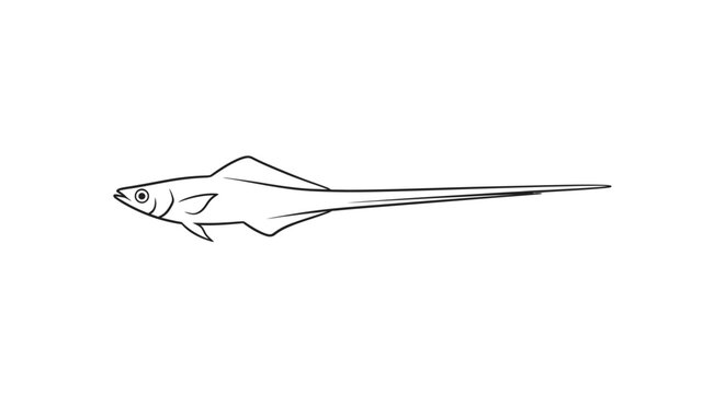 Detailed drawing of a stingray fish.