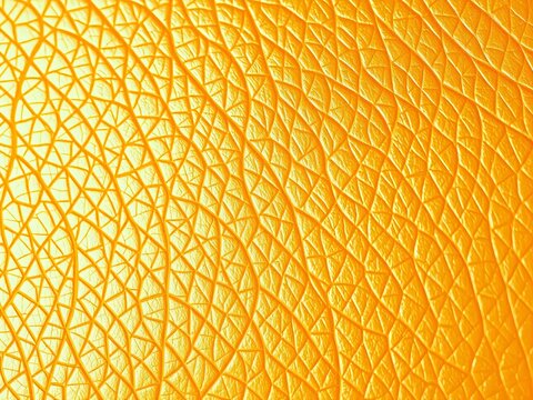 Warm biege leather texture closeup, showing fine grain and subtle sheen,  worn,  neutral