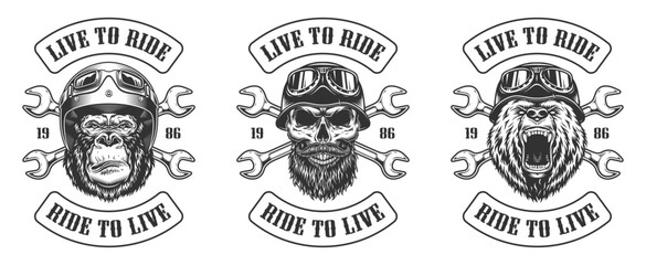Skull and monkey art design © DGIM studio